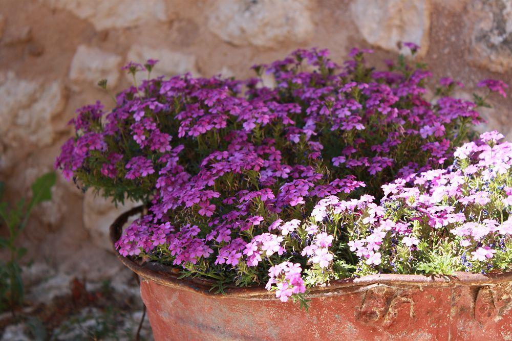 La Casa Su Le Dimore Del Borgo Aparthotel Santo Stefano Di Sessanio Exterior photo